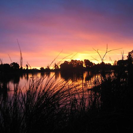 Beechworth Lake Sambell Caravan Park Dış mekan fotoğraf