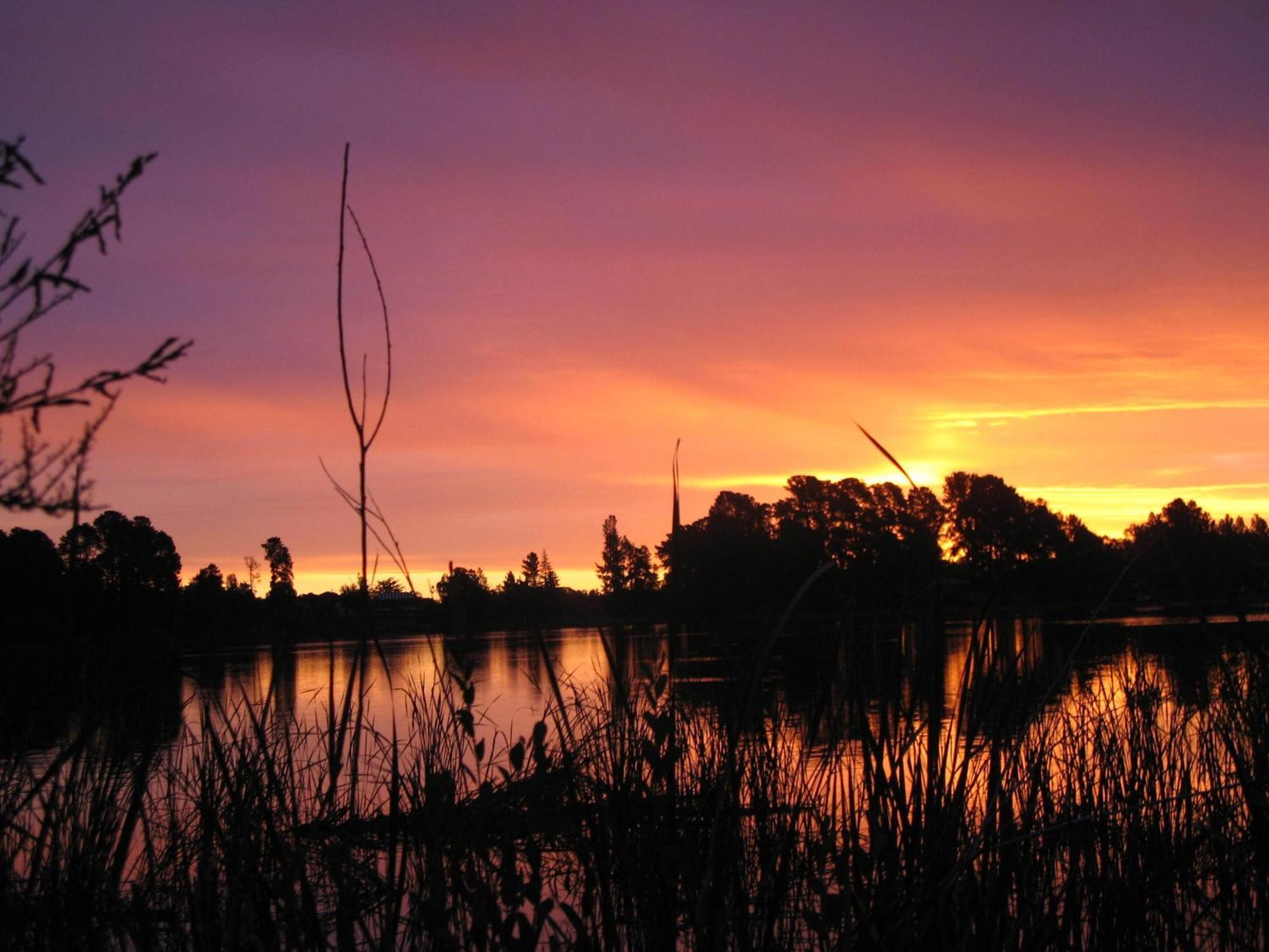 Beechworth Lake Sambell Caravan Park Dış mekan fotoğraf