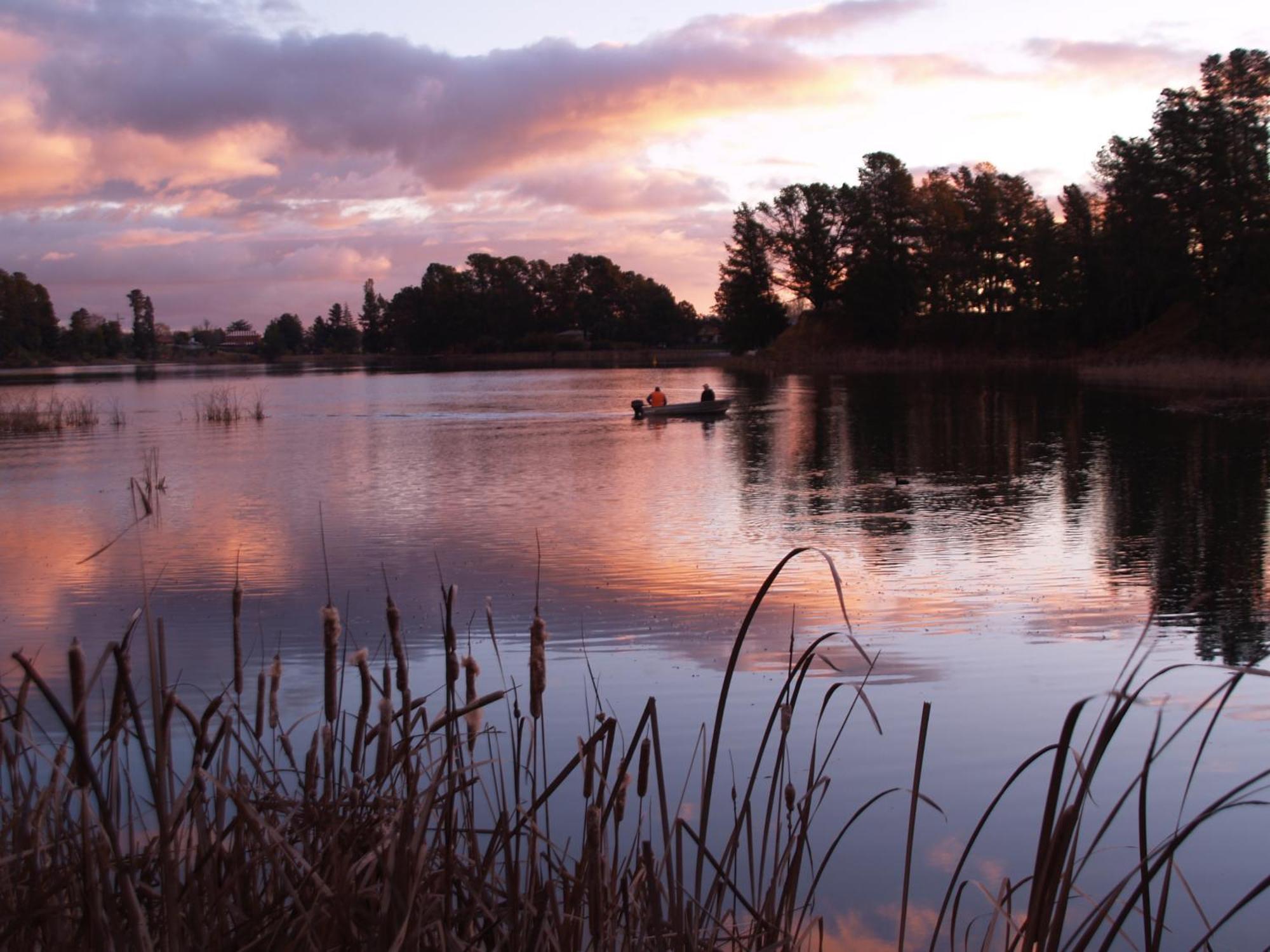 Beechworth Lake Sambell Caravan Park Dış mekan fotoğraf